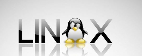 Linux ++ - fecha de lanzamiento está prevista para junio el año 2015 Photo