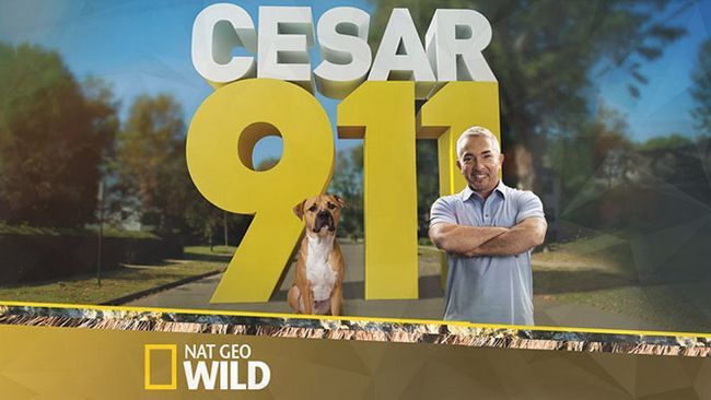 Cesar temporada 911 fecha 3 de liberación