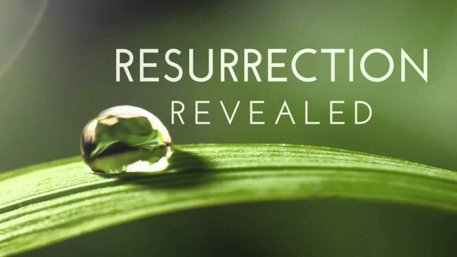 Temporada de resurrección fecha 3 de liberación - Cancelado Photo