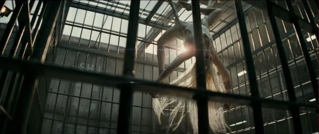 Margot Robbie como Harley Quinn en el pelotón del suicidio del remolque por DC Comics de Warner Bros.